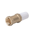 Water Pump Foot Check Valve - Image 3