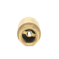 Vertical Spring Flap Check Valve - Image 3