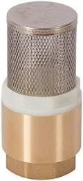 Check Valve With Filter - Image 4
