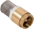Check Valve With Filter - Image 3