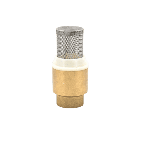 Brass In-Line Spring Vertical Check Valve