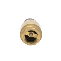 Brass In-Line Spring Vertical Check Valve - Image 4