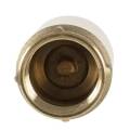 Inline Spring Loaded Check Valve - Image 4